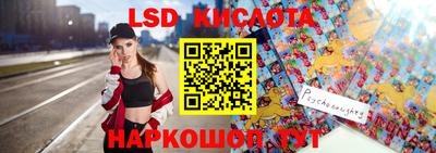 крисы Славгород