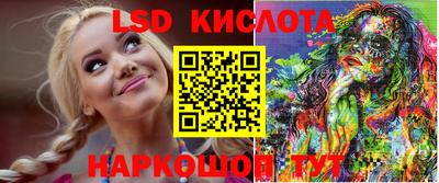 крисы Славгород