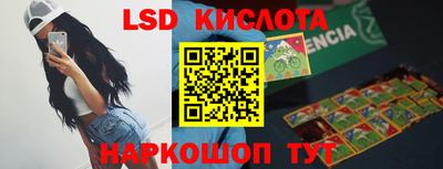 крисы Славгород