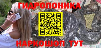 крисы Славгород