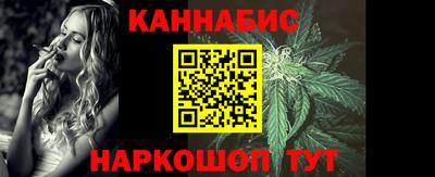 крисы Славгород