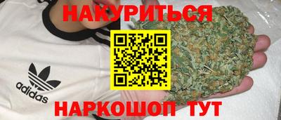 крисы Славгород