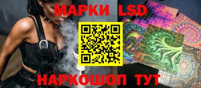 крисы Славгород