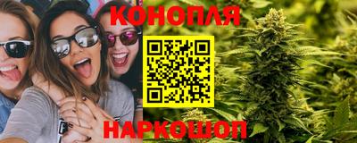 прущие грибы Сланцы