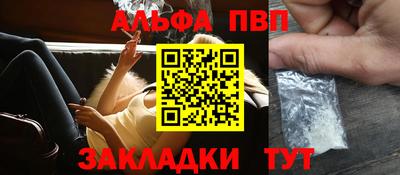 крисы Славгород