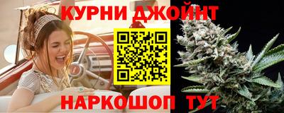 крисы Славгород