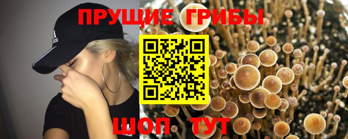 Псилоцибиновые грибы Magic Shrooms Саянск